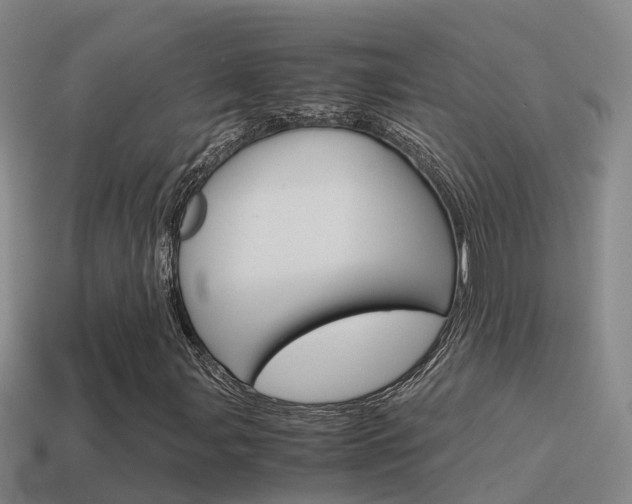 X0000115501107200911061016