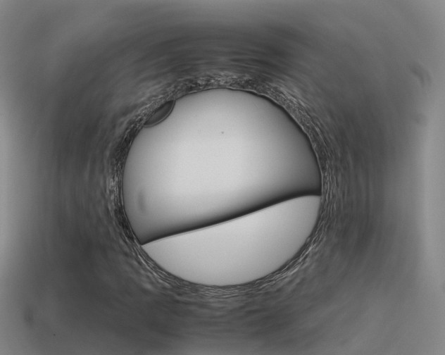 X0000115501109200911061016