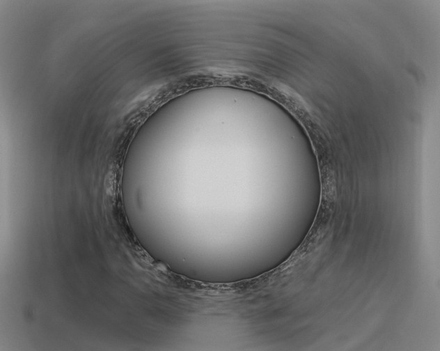 X0000115501110200911061016