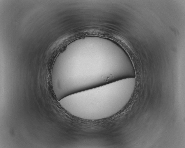 X0000115501111200911061016