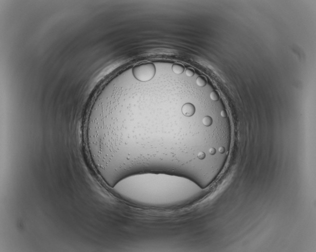 X0000115501113200911061016