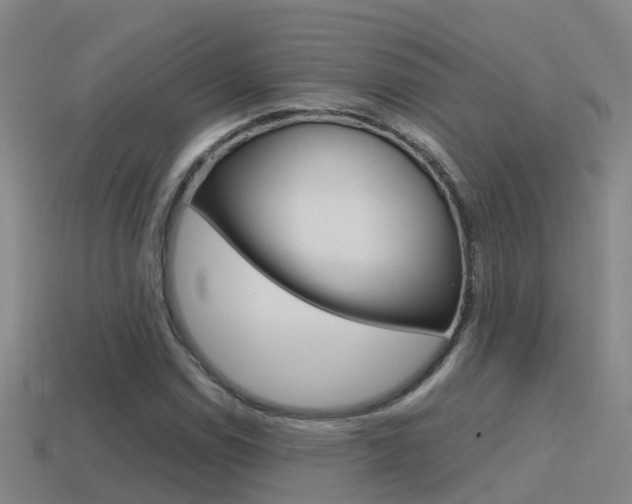 X0000115501114200911061016