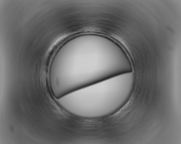 X0000115501115200911061016