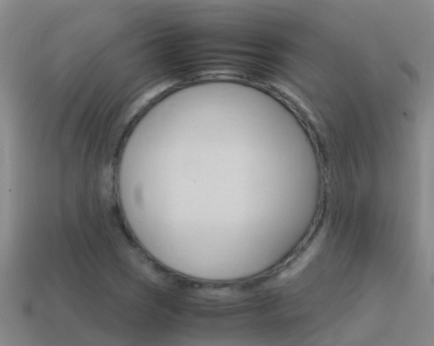 X0000115501121200911061017