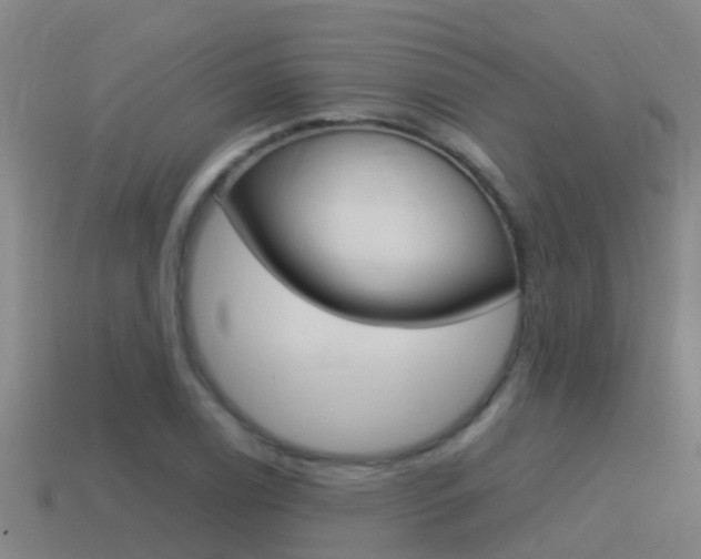 X0000115501122200911061017