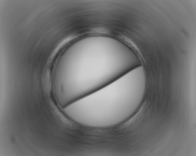 X0000115501123200911061017