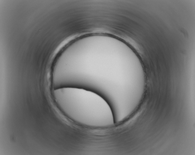 X0000115501126200911061017