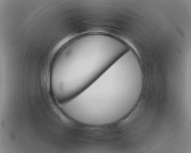 X0000115501127200911061017
