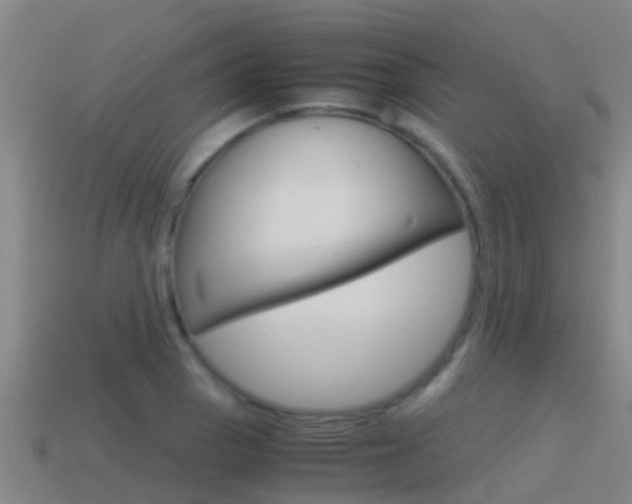 X0000115501129200911061017