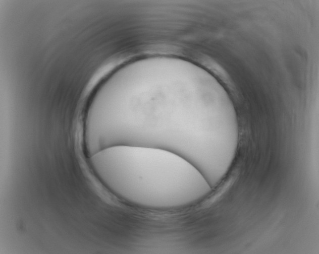 X0000115501130200911061017
