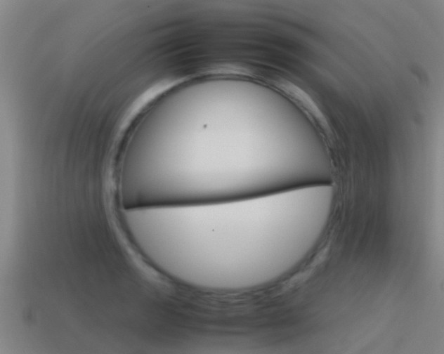 X0000115501133200911061017