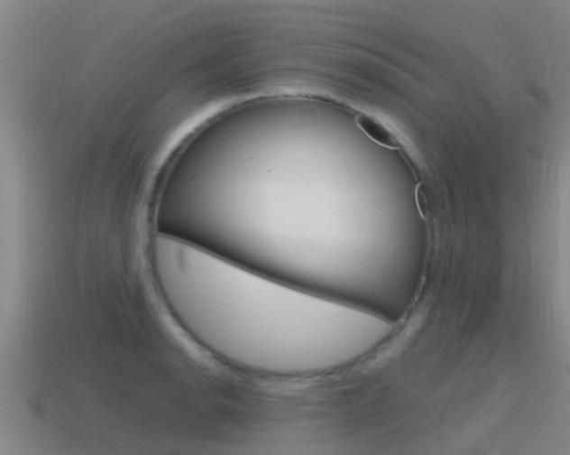X0000115501134200911061017