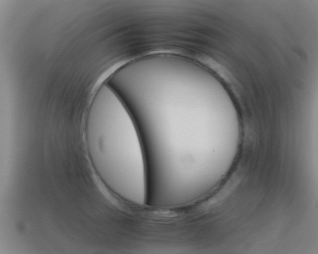 X0000115501137200911061017