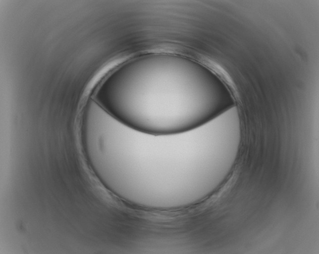X0000115501138200911061017