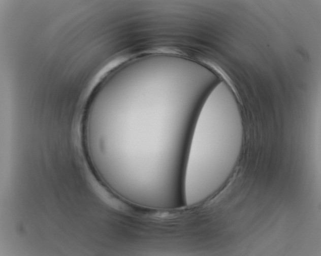 X0000115501139200911061017