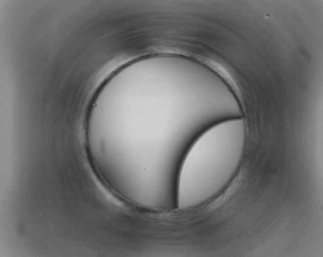 X0000115501141200911061017
