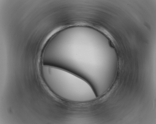 X0000115501142200911061017