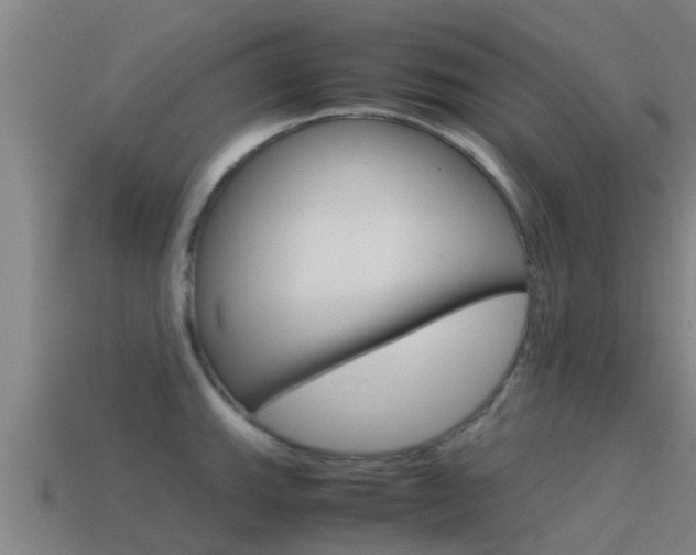 X0000115501143200911061017