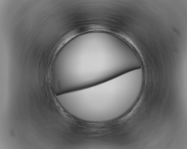 X0000115501145200911061017