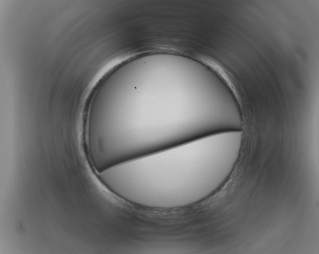 X0000115501147200911061017