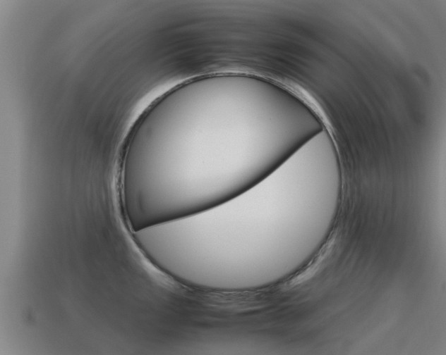 X0000115501149200911061017