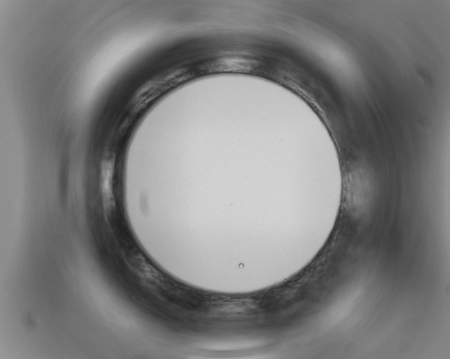 X0000115501150200911061017