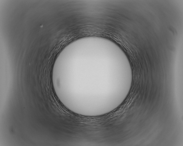X0000115501153200911061016