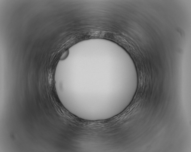 X0000115501154200911061016