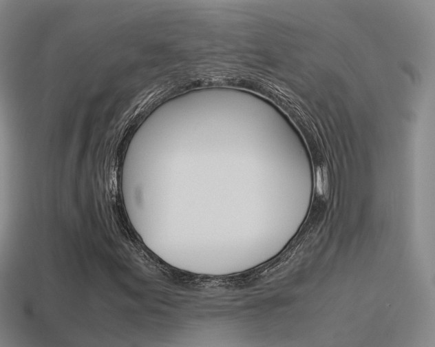 X0000115501155200911061016