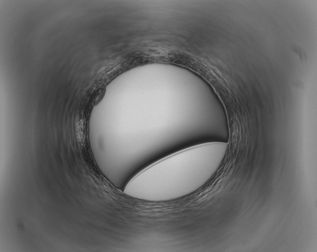 X0000115501156200911061016