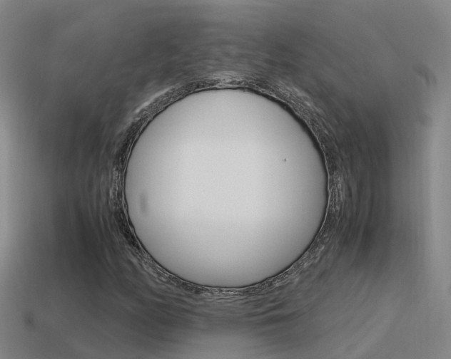 X0000115501158200911061016