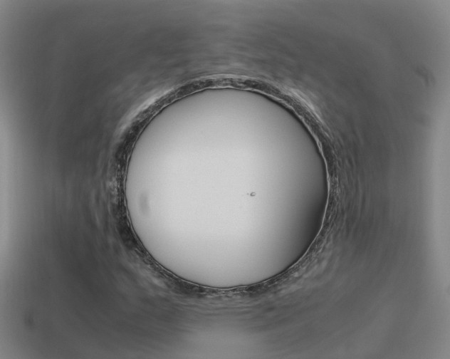 X0000115501159200911061016