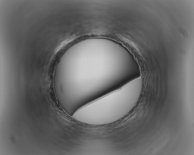 X0000115501160200911061016