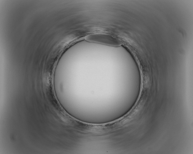 X0000115501161200911061016
