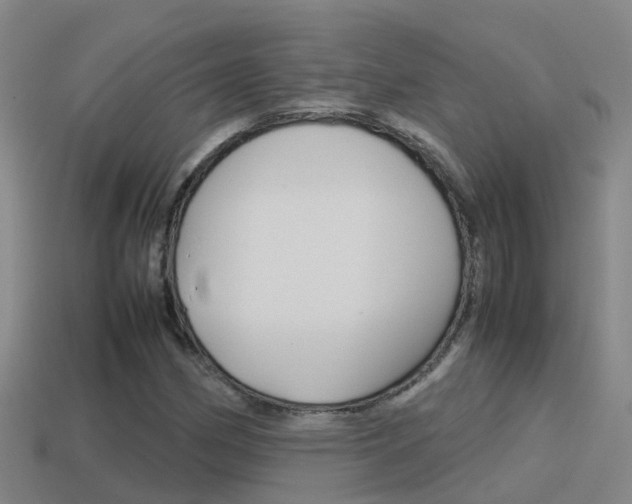 X0000115501162200911061016