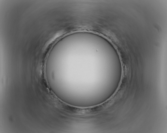 X0000115501165200911061016