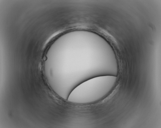 X0000115501166200911061016