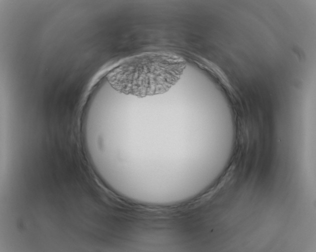 X0000115501168200911061016