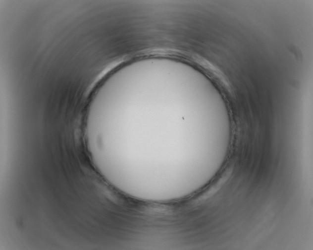X0000115501170200911061016