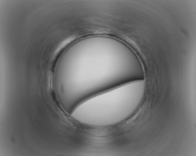 X0000115501171200911061016
