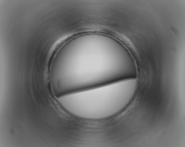 X0000115501172200911061016