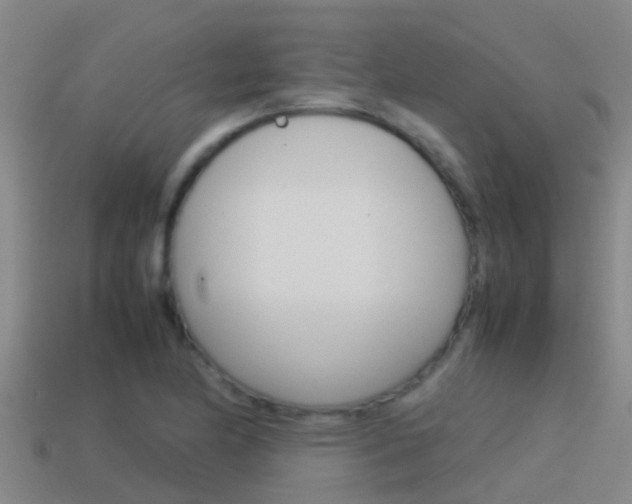 X0000115501174200911061016