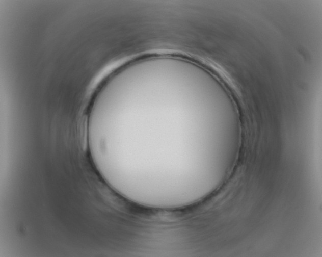 X0000115501175200911061016