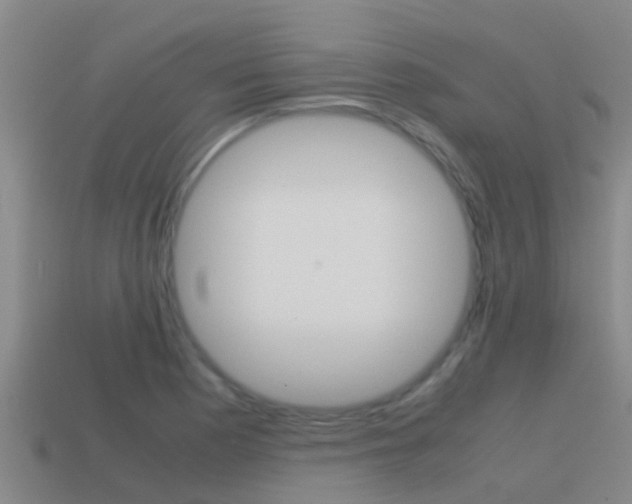 X0000115501177200911061016