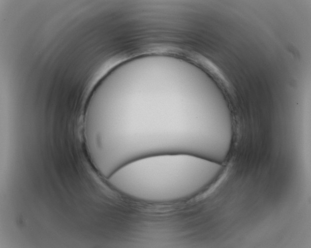 X0000115501178200911061016