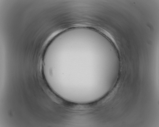 X0000115501179200911061016