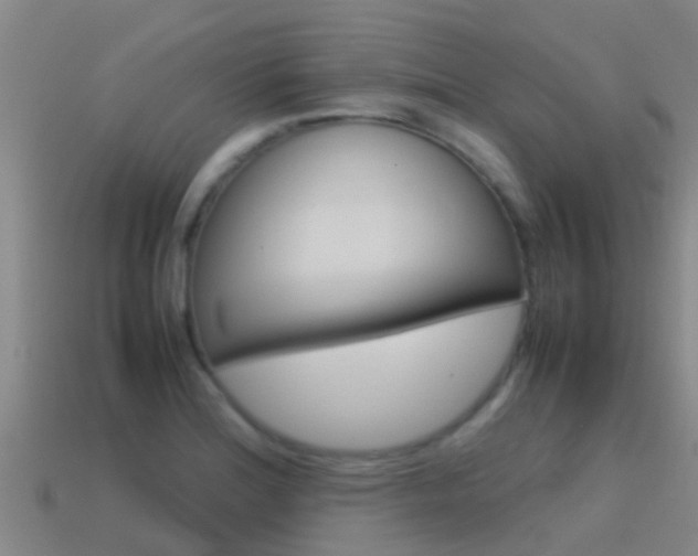 X0000115501180200911061016