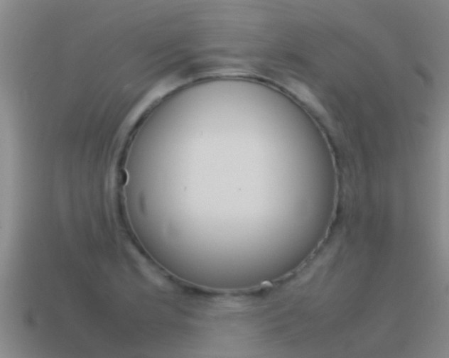 X0000115501181200911061016