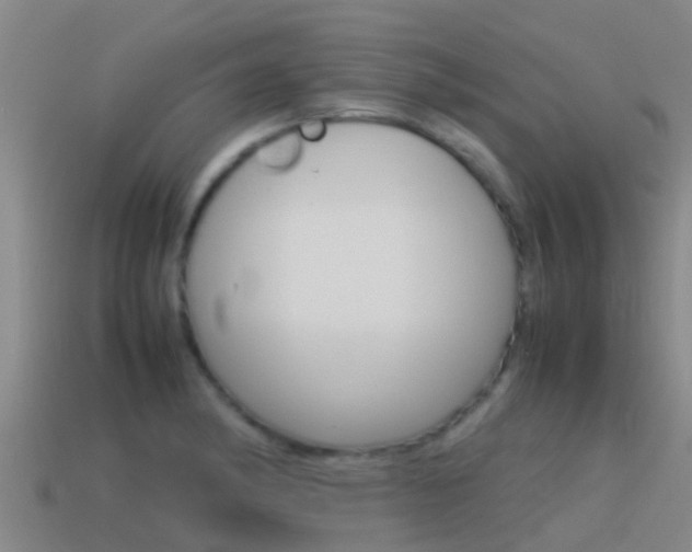 X0000115501182200911061016