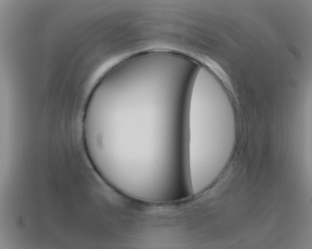 X0000115501183200911061016